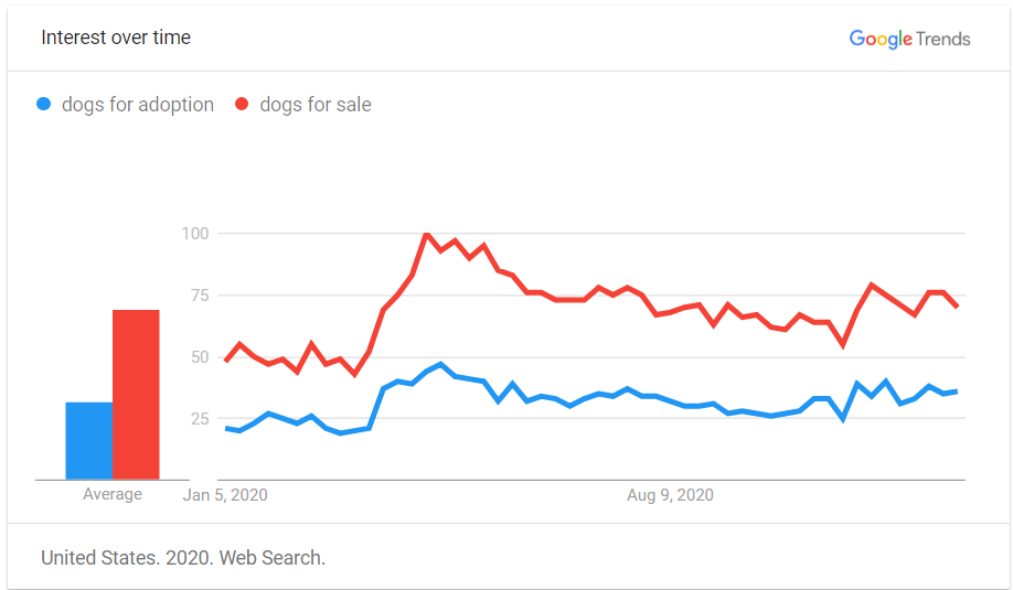 Google Trends Searches - Pandemic Puppies