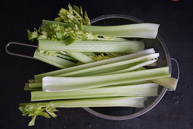 Can Dogs Eat Raw Celery