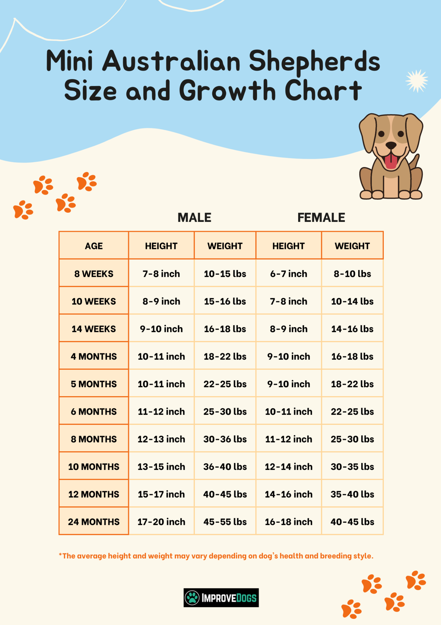 Mini Australian Shepherd Growth Weight Size Chart By Age