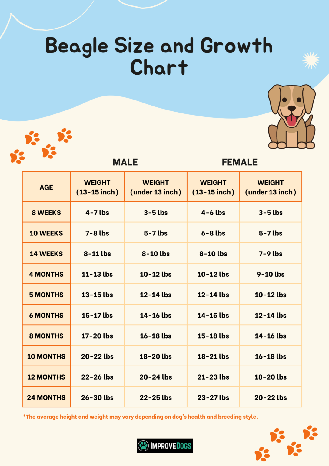 Beagle Growth Chart - Check Out Beagle Size Chart By Age