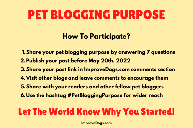 pet-blogging-purpose-improvedogs