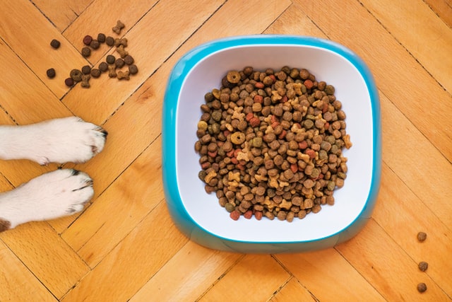 Improve Your Dog's Diet And Meals
